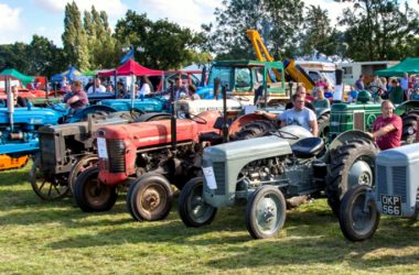 Tractors line up at the Tractor Fest