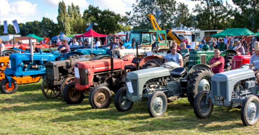 Tractors line up at the Tractor Fest
